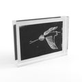 Heron in Flight Acrylic Block